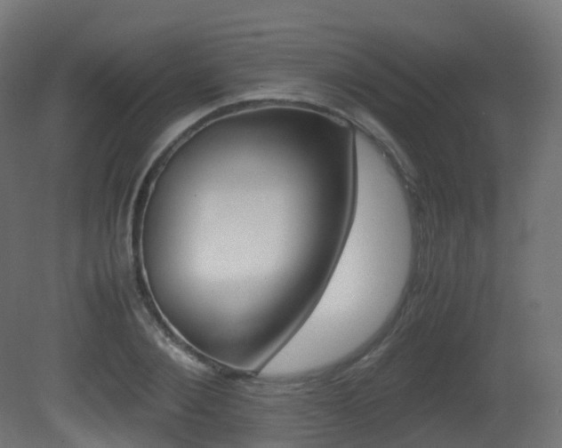 X0000081490884200701121109