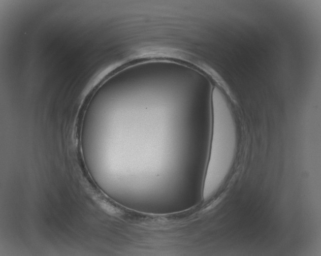 X0000081490885200701121109