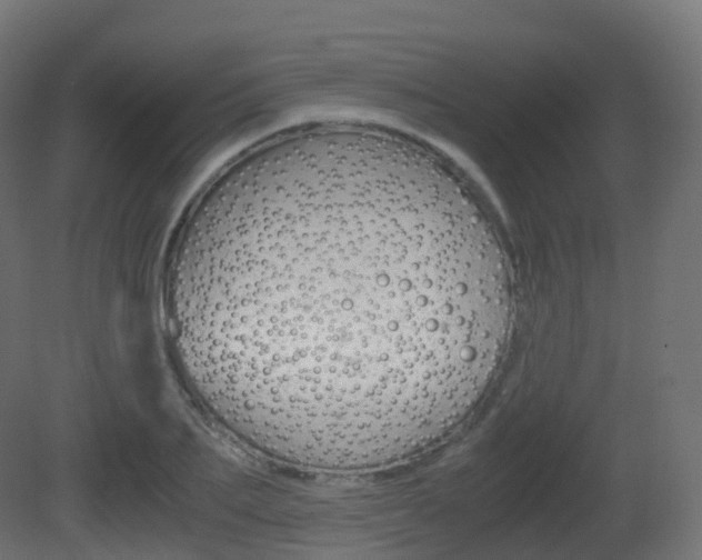 X0000081490887200701121109