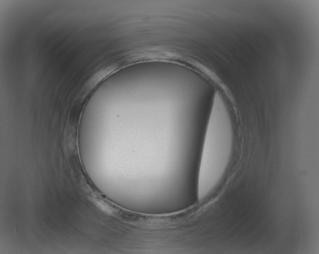 X0000081490889200701121109