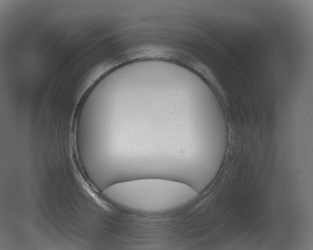 X0000081490890200701121109