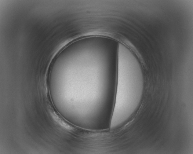 X0000081490892200701121109