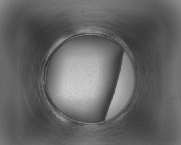 X0000081490893200701121109