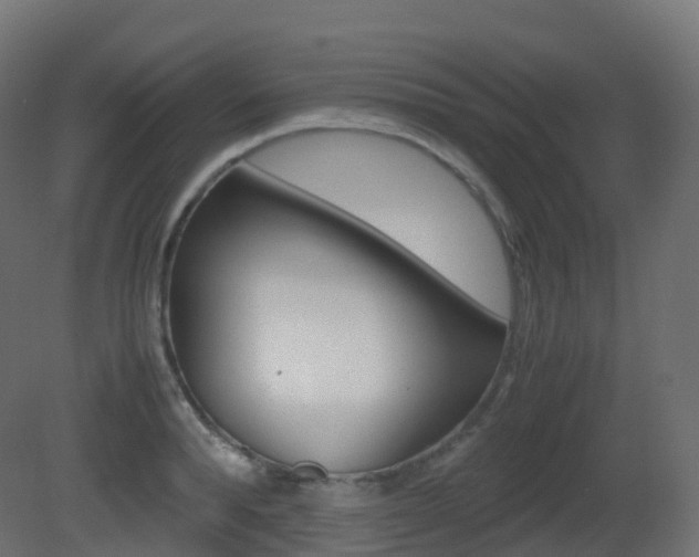 X0000081490896200701121109