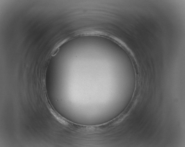 X0000081490897200701121109