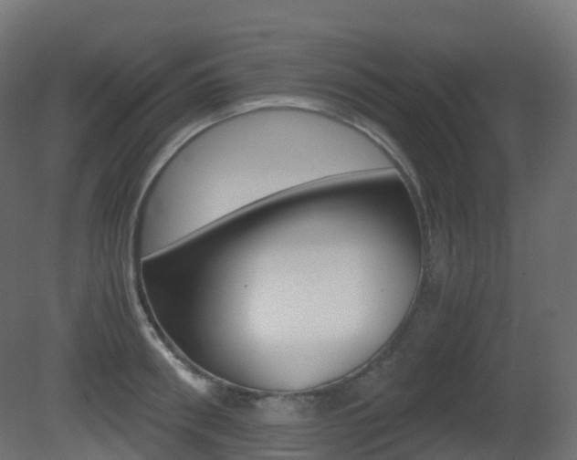 X0000081490898200701121109