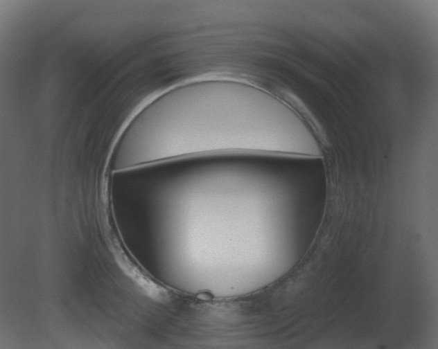 X0000081490900200701121109