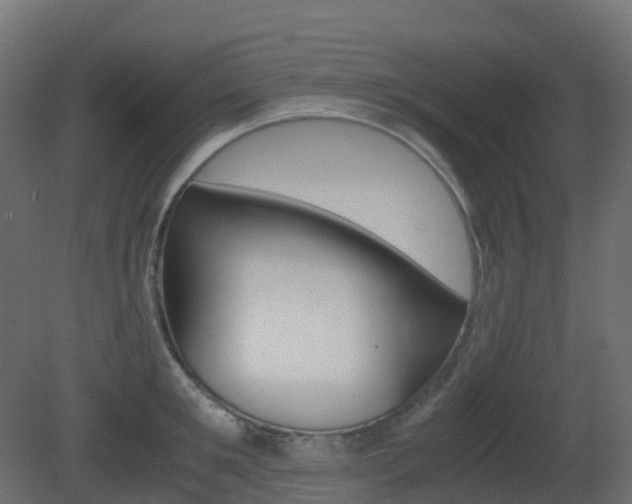 X0000081490901200701121109