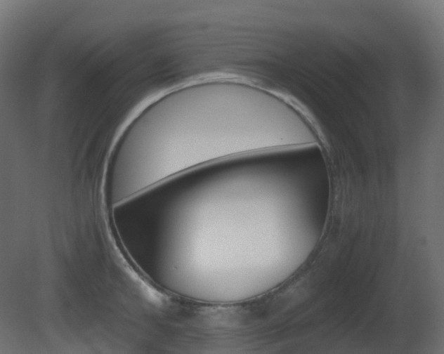 X0000081490902200701121109
