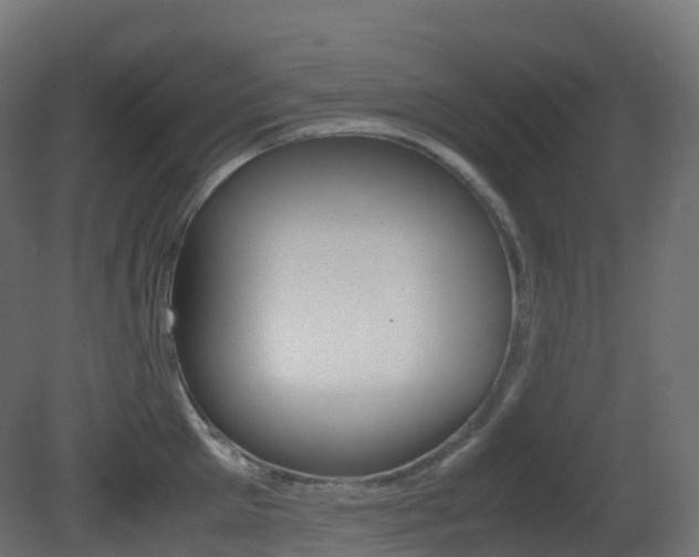 X0000081490905200701121109