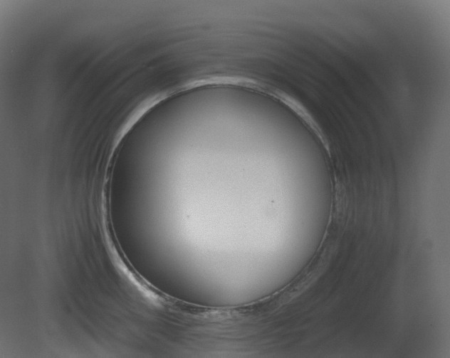 X0000081490906200701121109