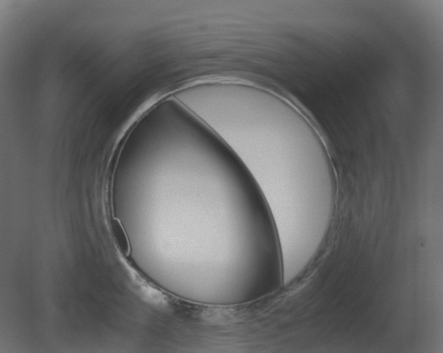 X0000081490909200701121109