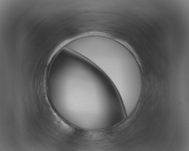 X0000081490910200701121109