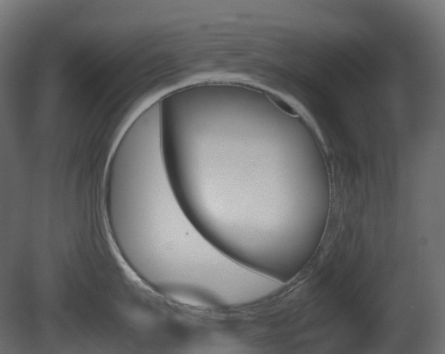 X0000081490911200701121109