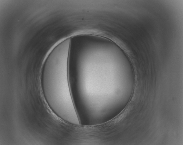 X0000081490912200701121109