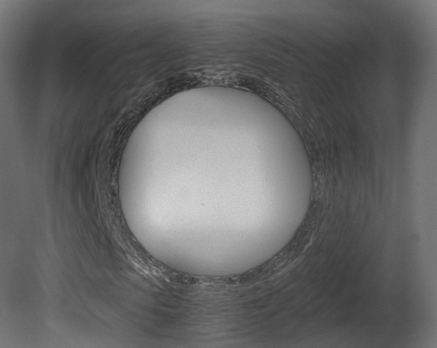 X0000081490913200701121108