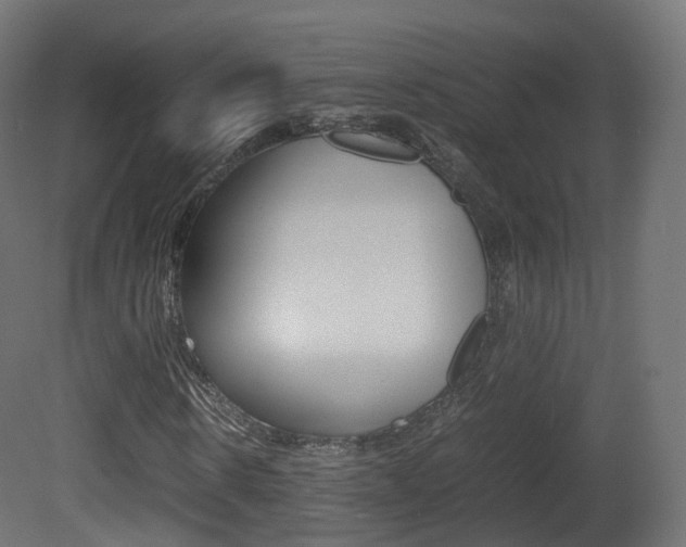 X0000081490914200701121108
