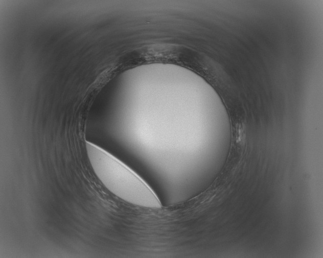 X0000081490915200701121108