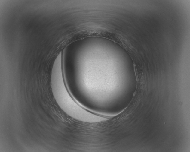 X0000081490916200701121108