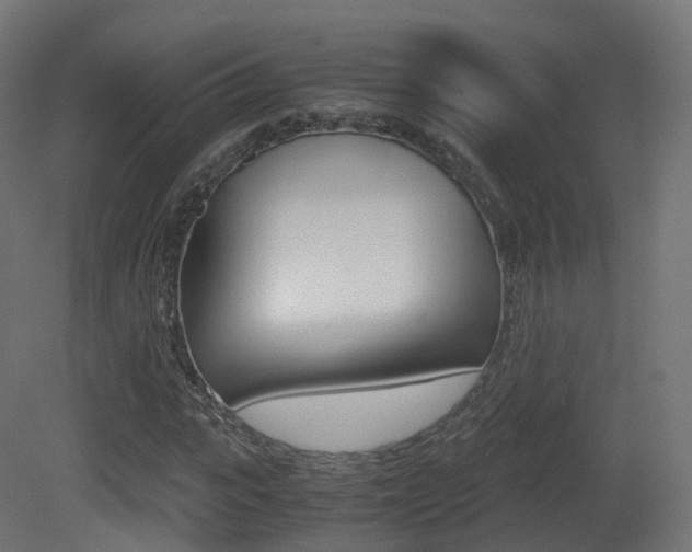 X0000081490919200701121108