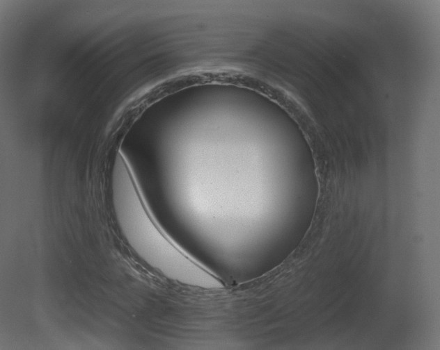 X0000081490920200701121108