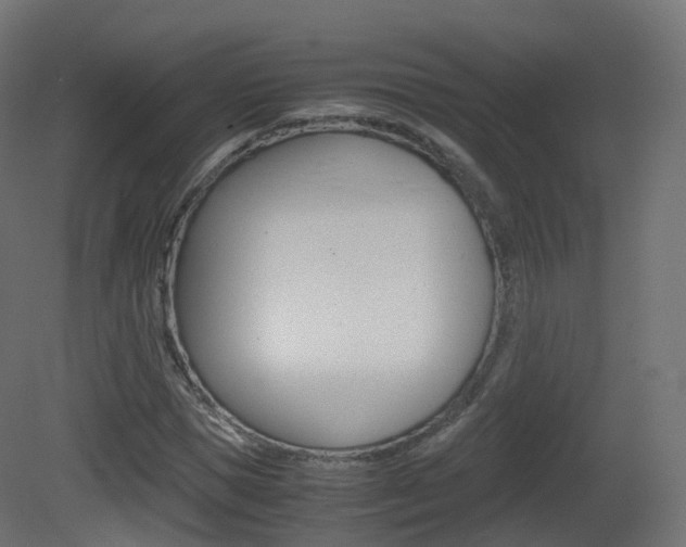 X0000081490921200701121108