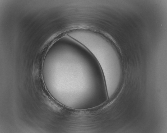 X0000081490922200701121108