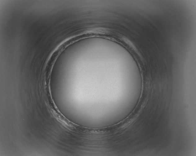 X0000081490923200701121108