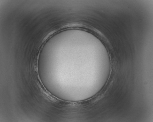 X0000081490929200701121108