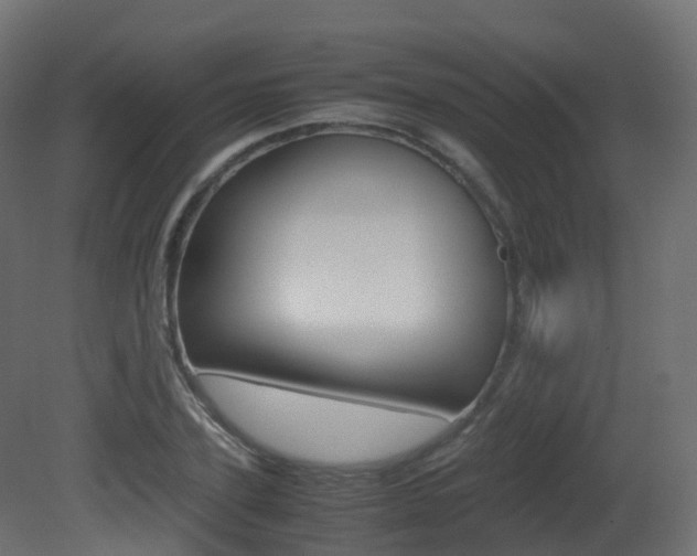 X0000081490931200701121108