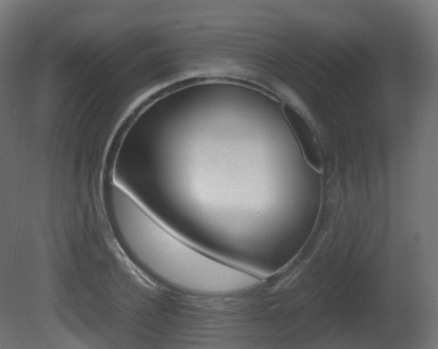 X0000081490932200701121108
