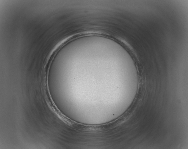 X0000081490933200701121108