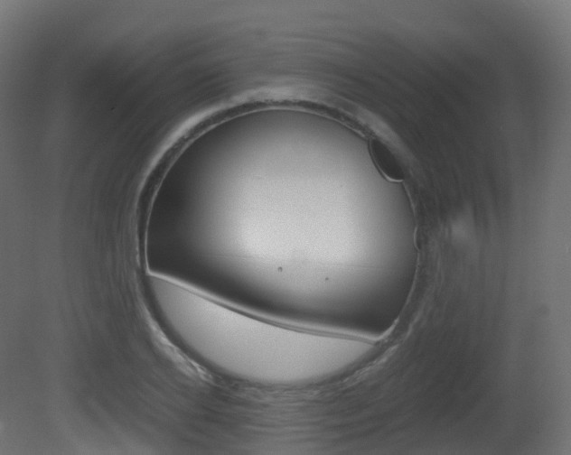 X0000081490934200701121108