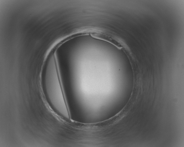 X0000081490936200701121108