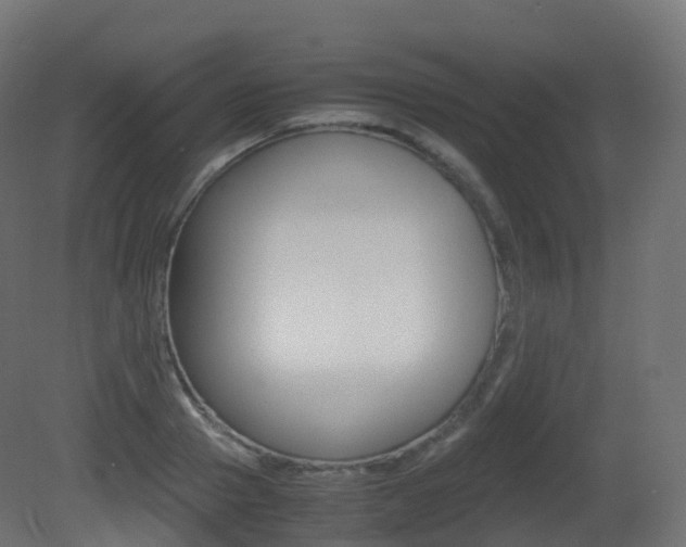 X0000081490937200701121108