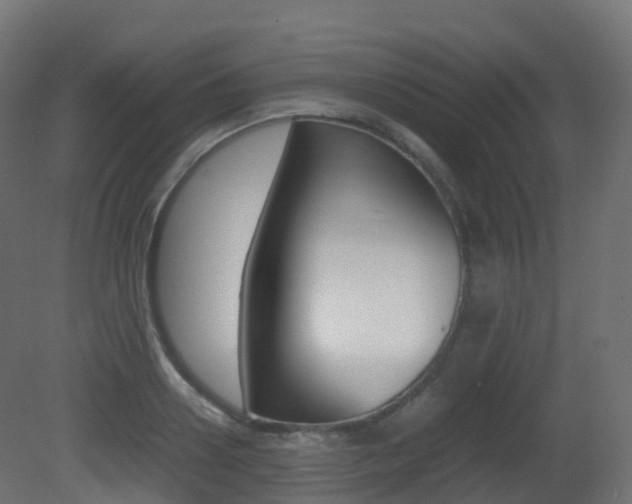 X0000081490938200701121108