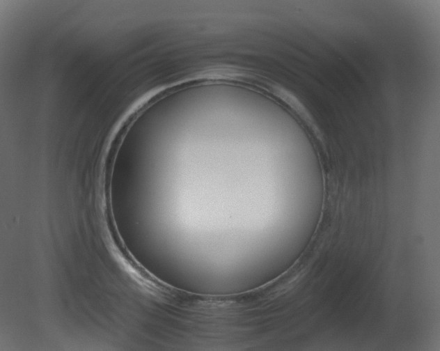 X0000081490939200701121108