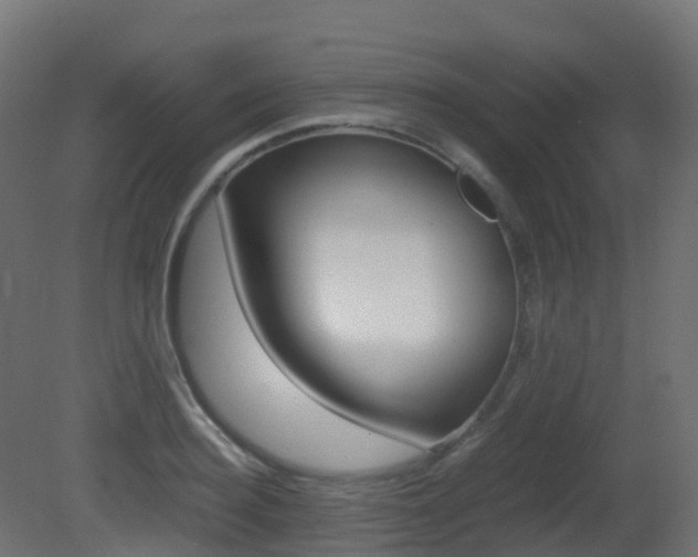 X0000081490940200701121108