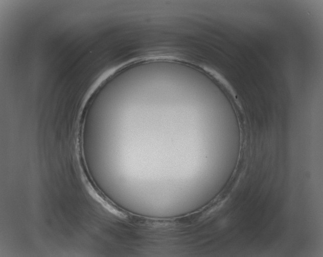 X0000081490941200701121108