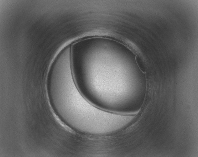 X0000081490942200701121108