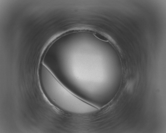X0000081490943200701121108