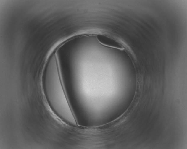 X0000081490944200701121108