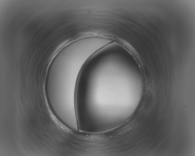 X0000081490946200701121109