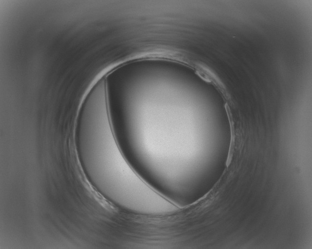 X0000081490948200701121109