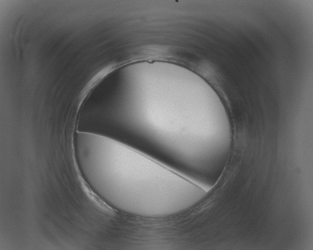 X0000081490954200701121109