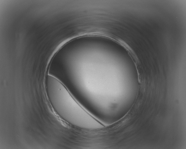 X0000081490956200701121109
