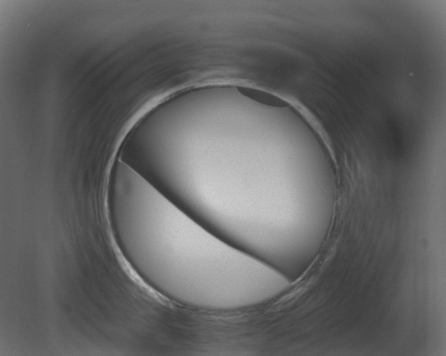 X0000081490957200701121109