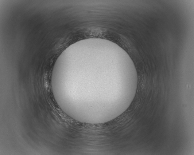 X0000081490962200701121108