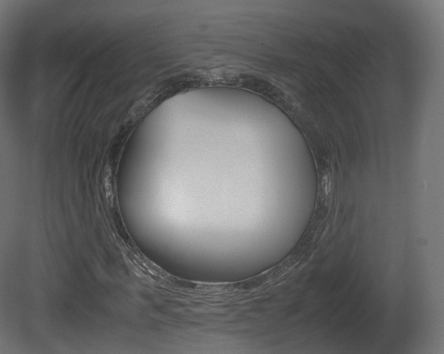 X0000081490963200701121108