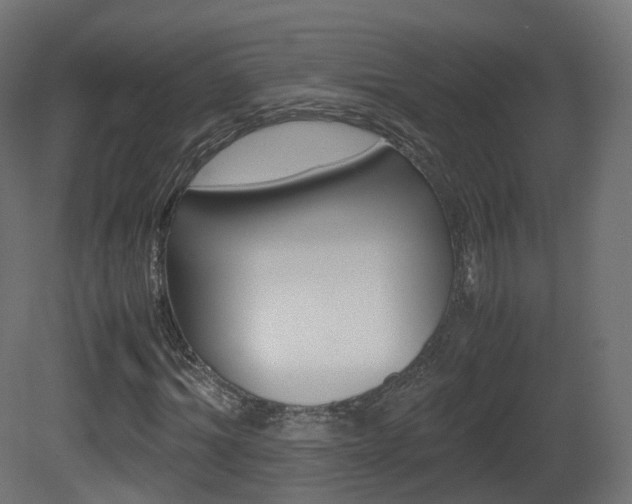 X0000081490964200701121108